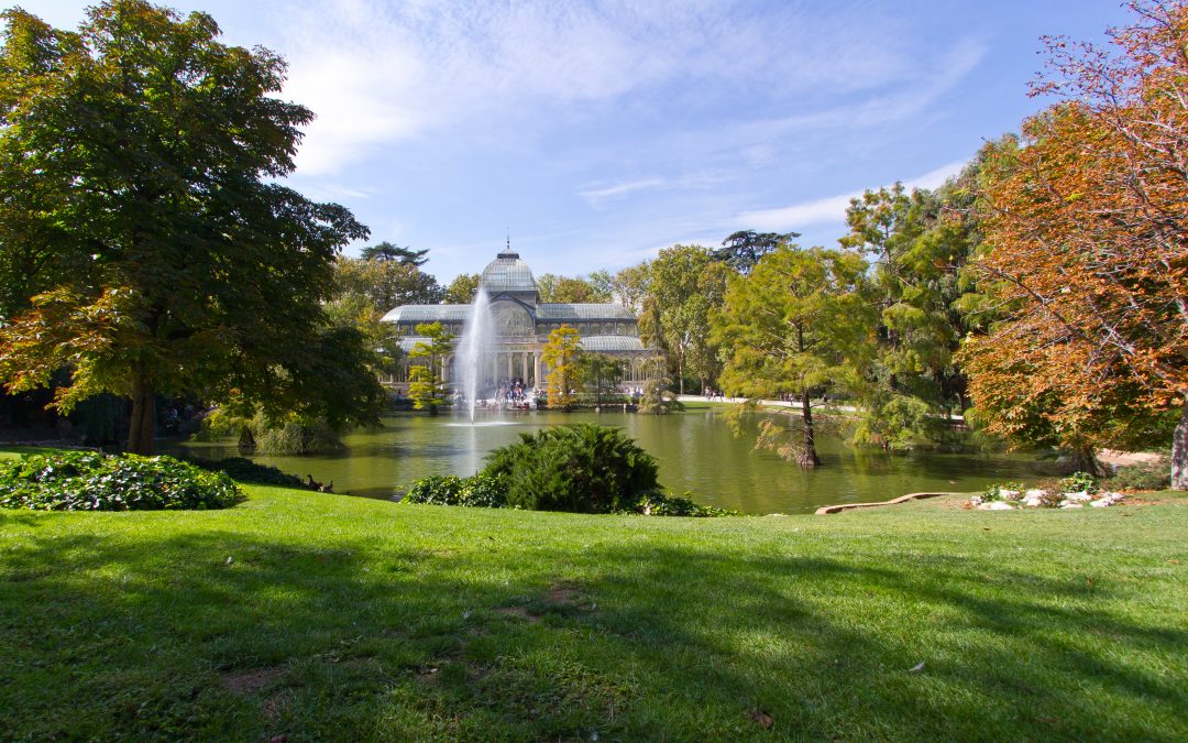 10 parks in Madrid to lose sense and gain sensibility